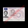 Driving License – FRANCE