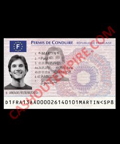 Driving License – FRANCE